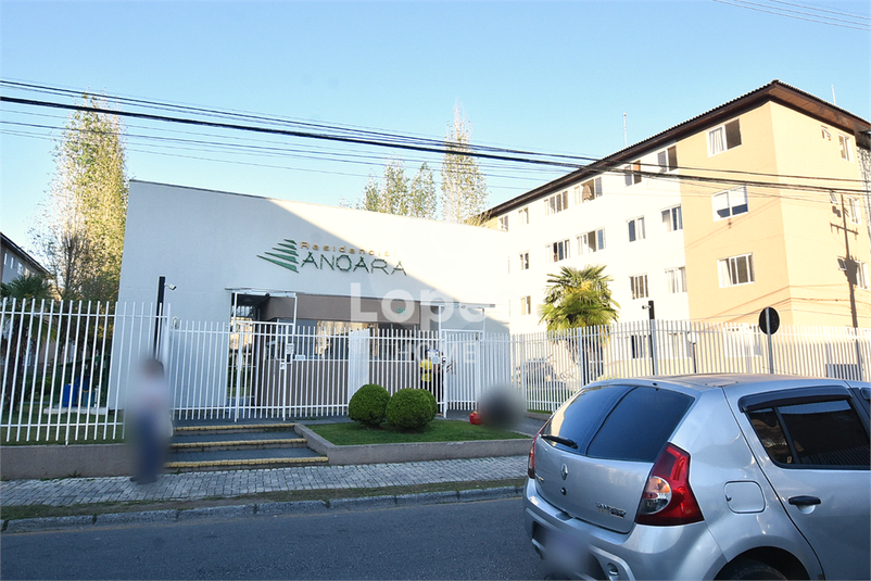 Foto REO1124945