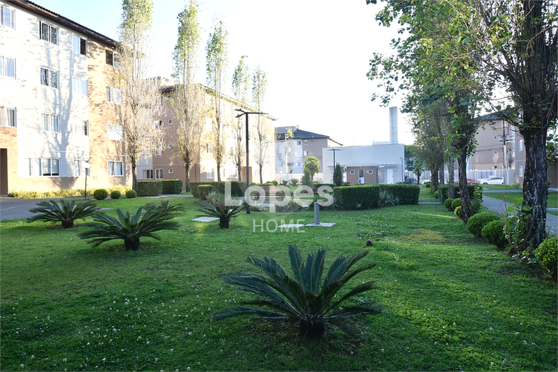 Foto REO1124945