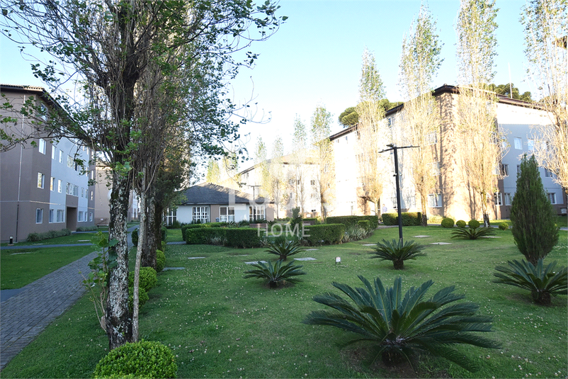 Foto REO1124945