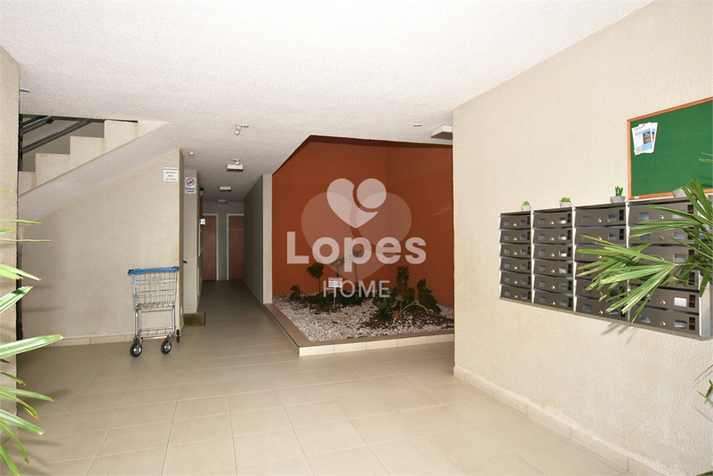 Foto REO1124945