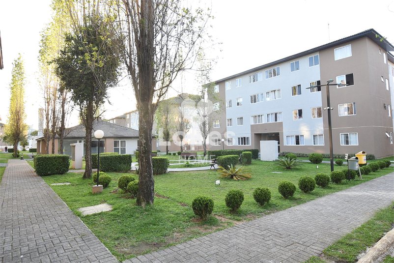 Foto REO1124945