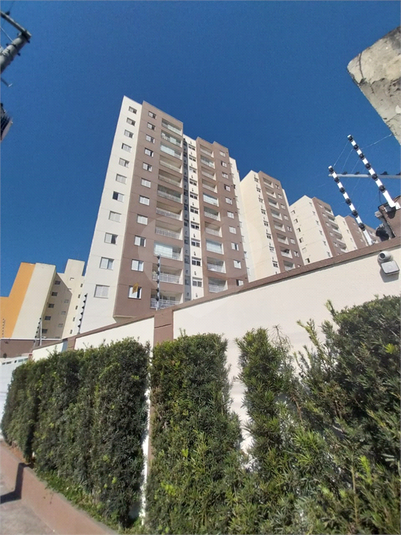 Foto REO1124955
