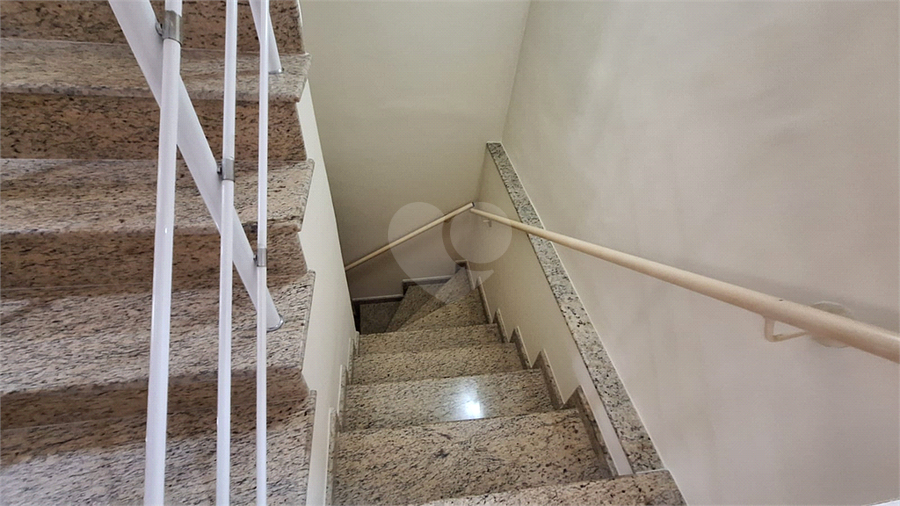 Foto REO1124962