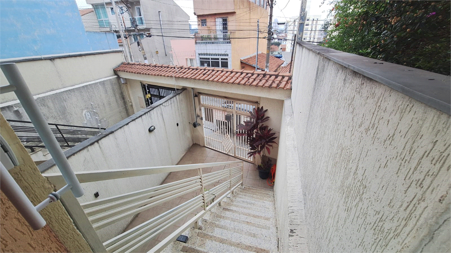 Foto REO1124962