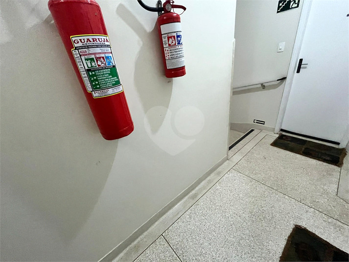 Foto REO1124969