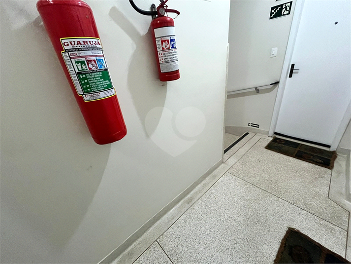 Foto REO1124969