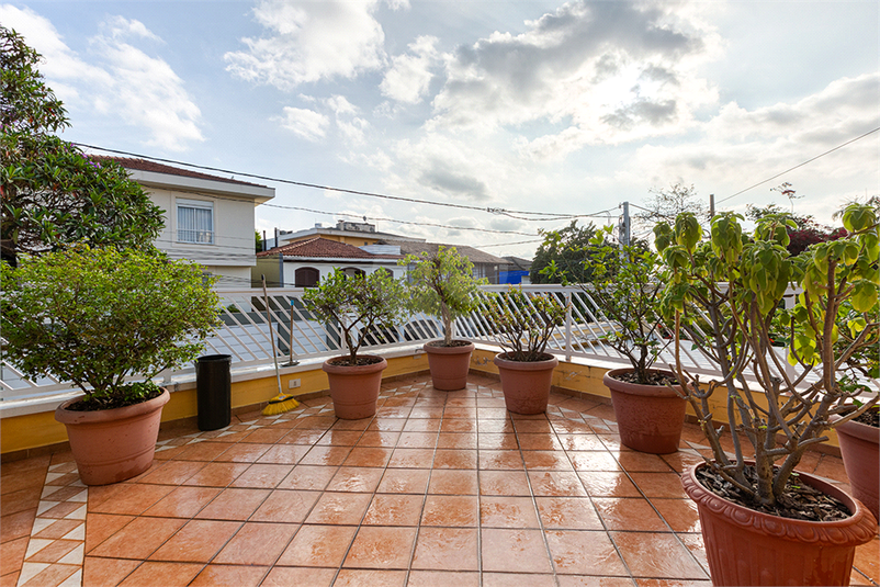 Foto REO1124974
