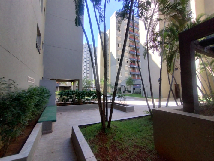 Foto REO1124976