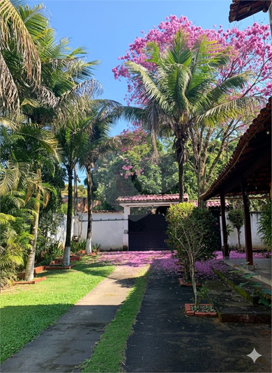 Foto REO1125023