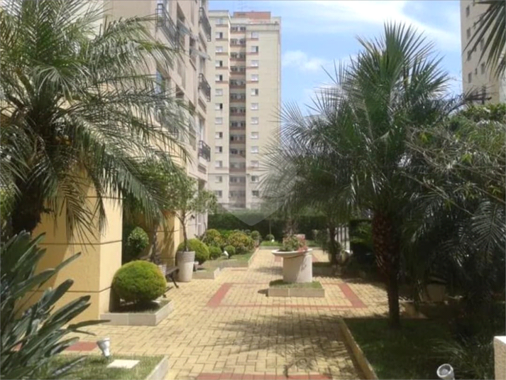 Foto REO1125064