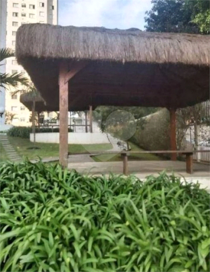 Foto REO1125067