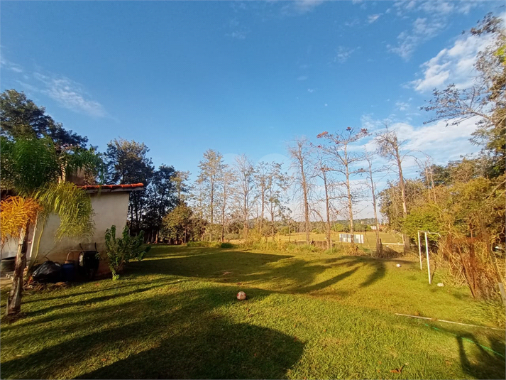 Foto REO1125070