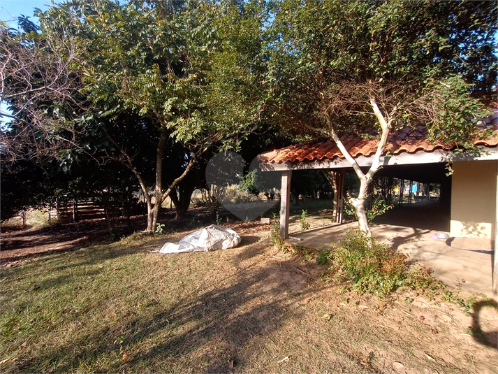 Foto REO1125070