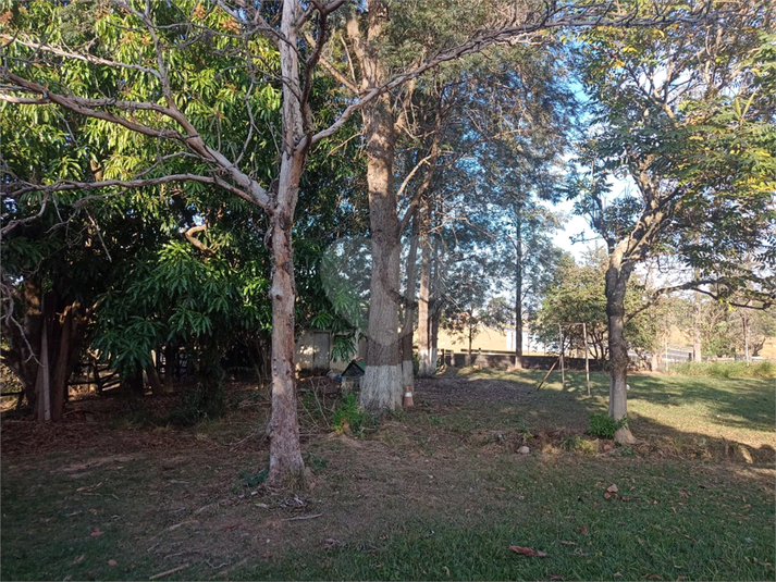 Foto REO1125070