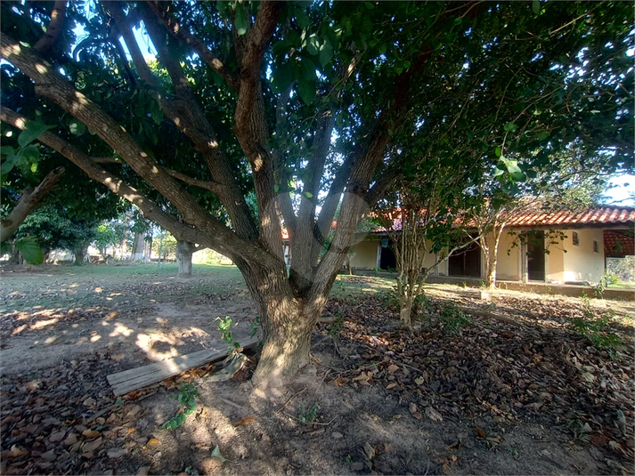 Foto REO1125070