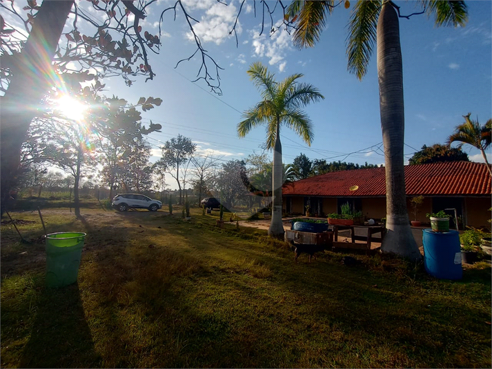 Foto REO1125070
