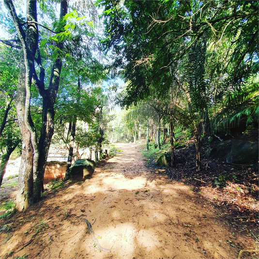 Foto REO1126138