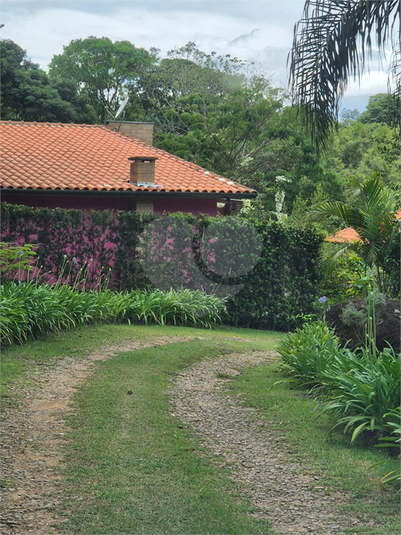 Foto REO1126138