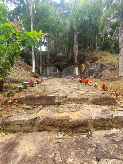 Foto REO1126138