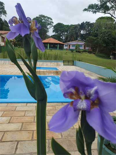 Foto REO1126138
