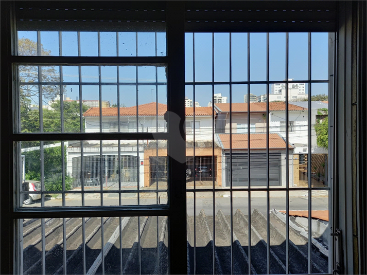 Foto REO1126157