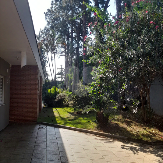 Foto REO1126165