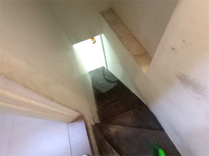 Foto REO1126180