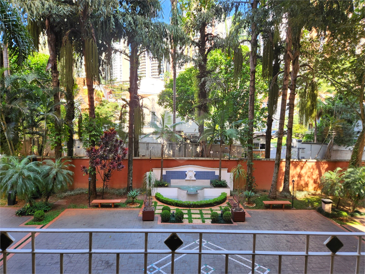 Foto REO1126189