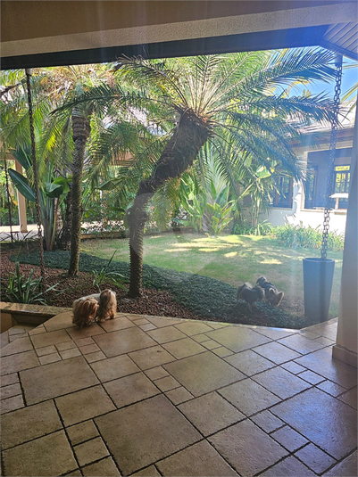 Foto REO1126190