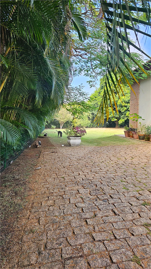 Foto REO1126190