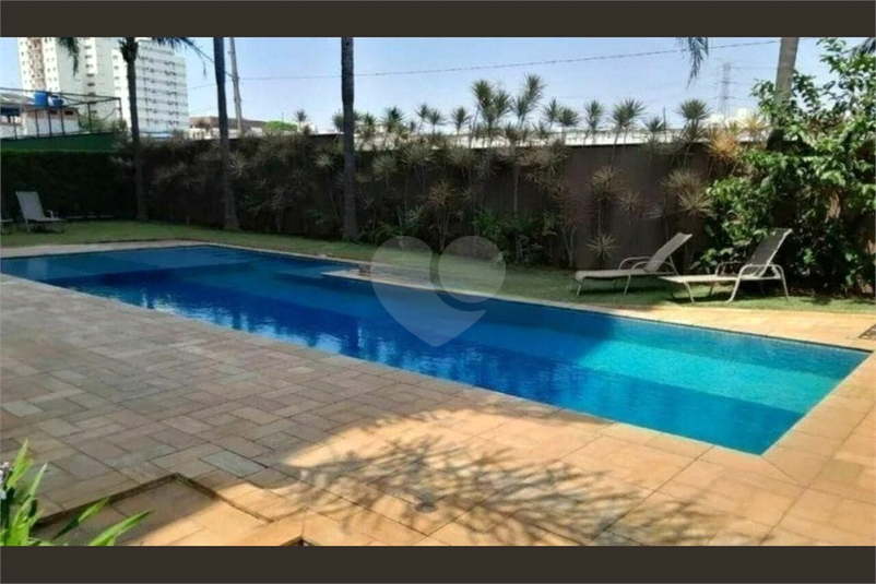 Foto REO1126197