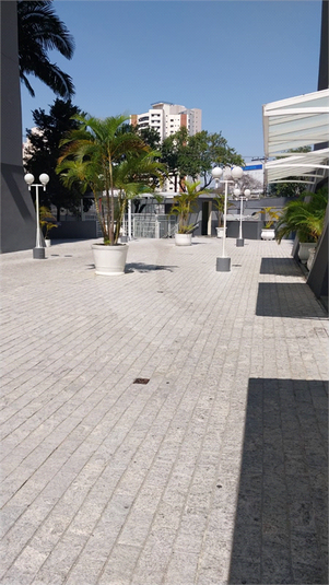 Foto REO1126209