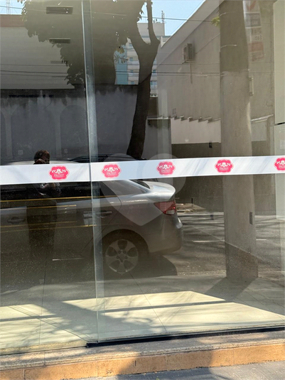 Foto REO1126215