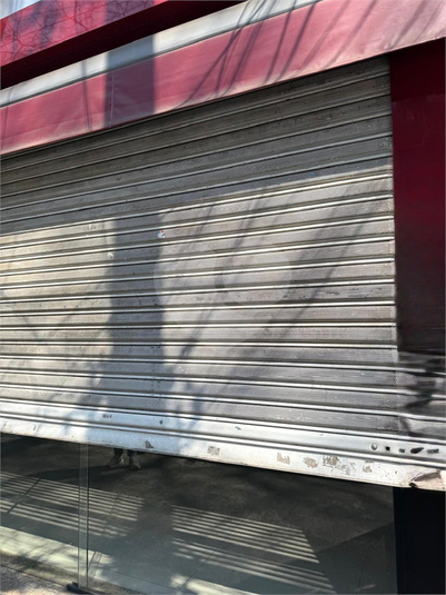 Foto REO1126215