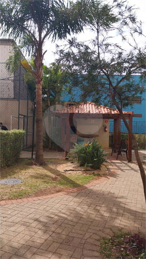 Foto REO1126221