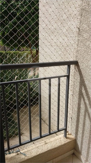 Foto REO1126221