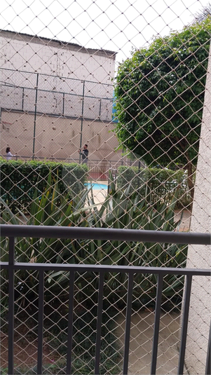 Foto REO1126221