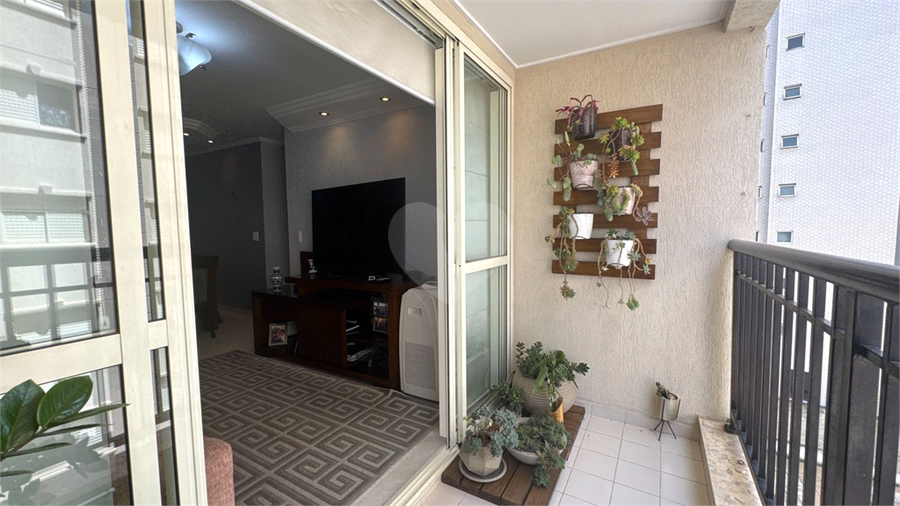 Foto REO1126228