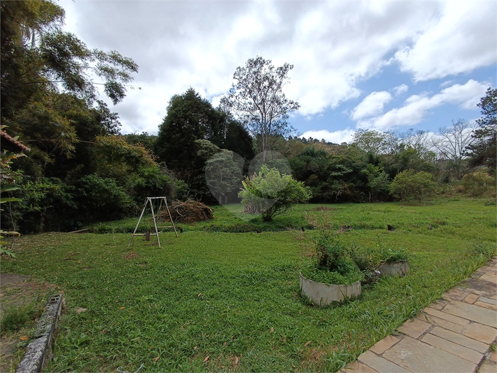 Foto REO1126231