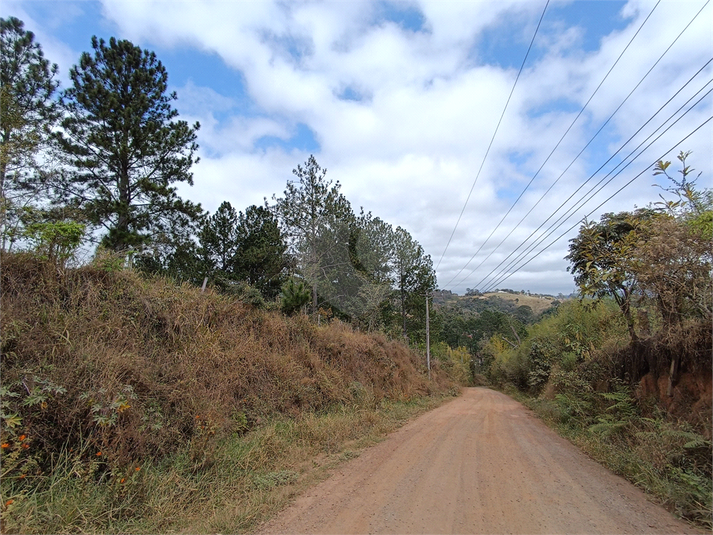 Foto REO1126231