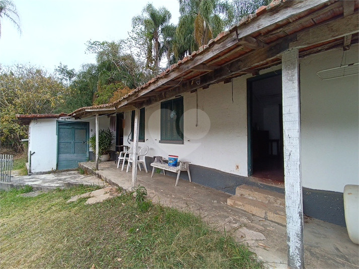 Foto REO1126231