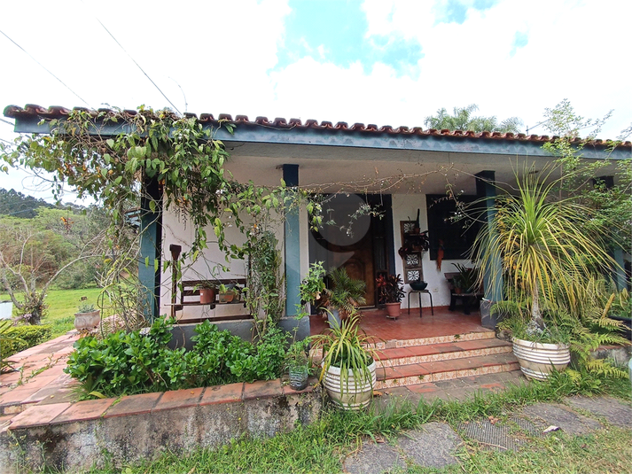 Foto REO1126231