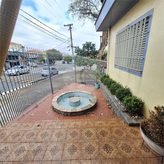 Foto REO1126233