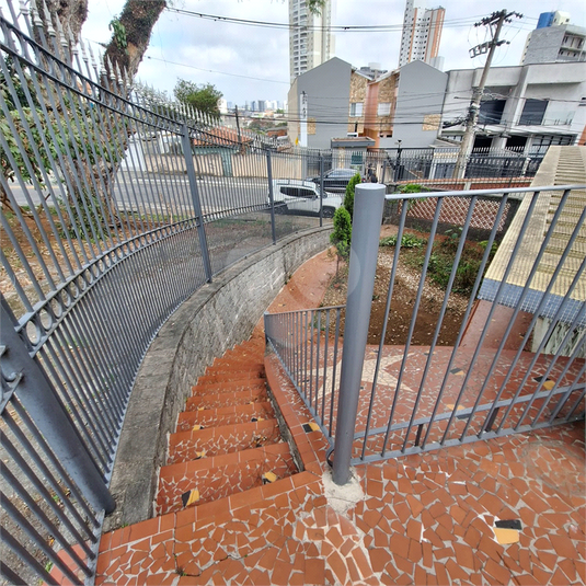 Foto REO1126233