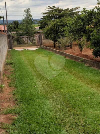 Foto REO1126234