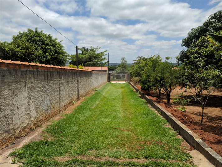 Foto REO1126234