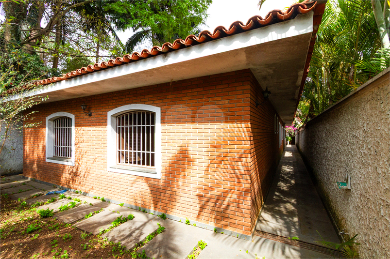 Foto REO1126248