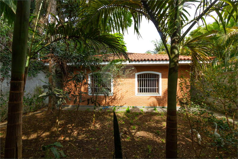 Foto REO1126248