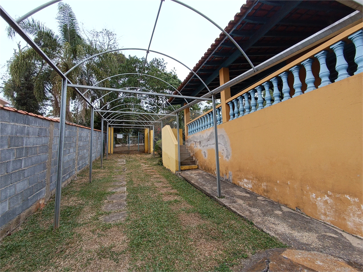 Foto REO1126258