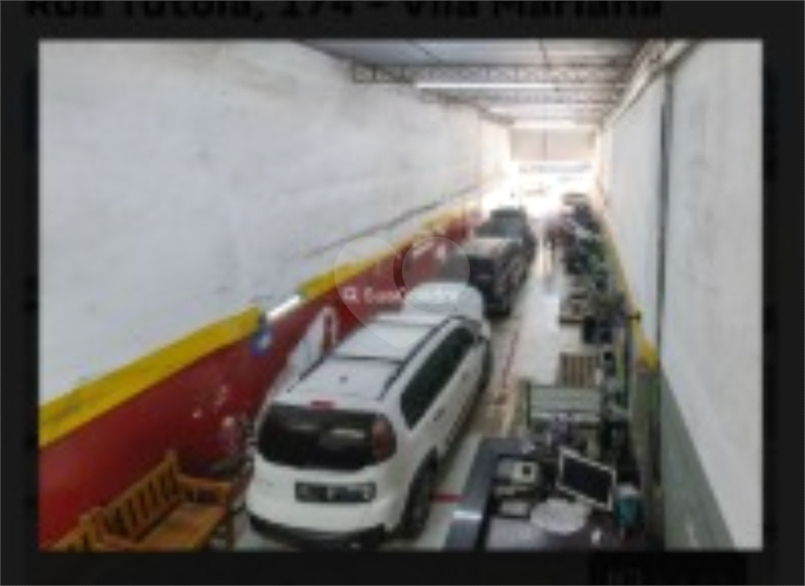 Foto REO1126262